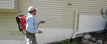 Expert Pest Control Tips: Effective Solutions For Your Home