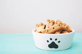 5 Easy Homemade Dog Treat Recipes